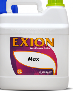 Exion Max